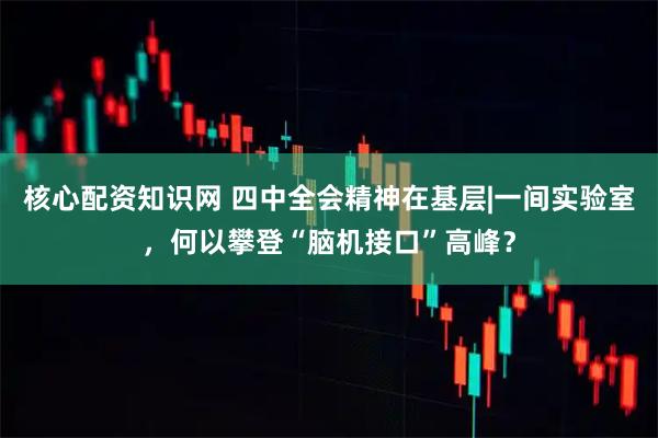 核心配资知识网 四中全会精神在基层|一间实验室，何以攀登“脑机接口”高峰？