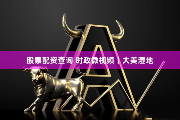 股票配资查询 时政微视频丨大美湿地