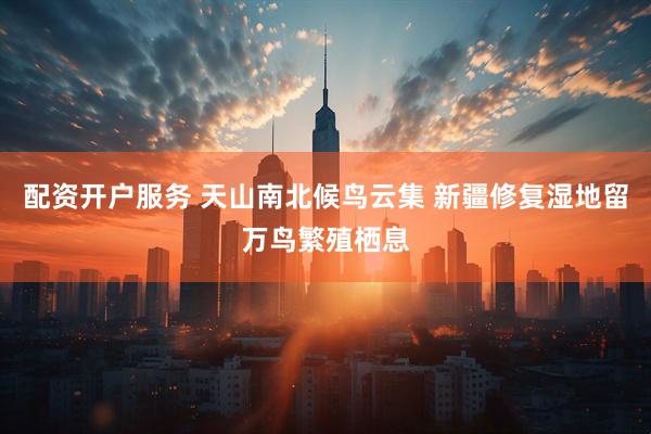 配资开户服务 天山南北候鸟云集 新疆修复湿地留万鸟繁殖栖息